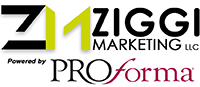 Ziggi Marketing (R) Website